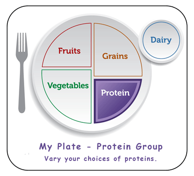 protein daily requirements from my plate
